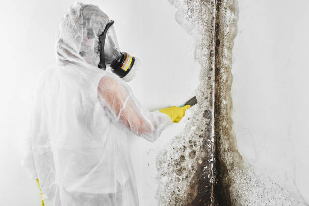 Best Industrial Mold Remediation  in Sumner, WA